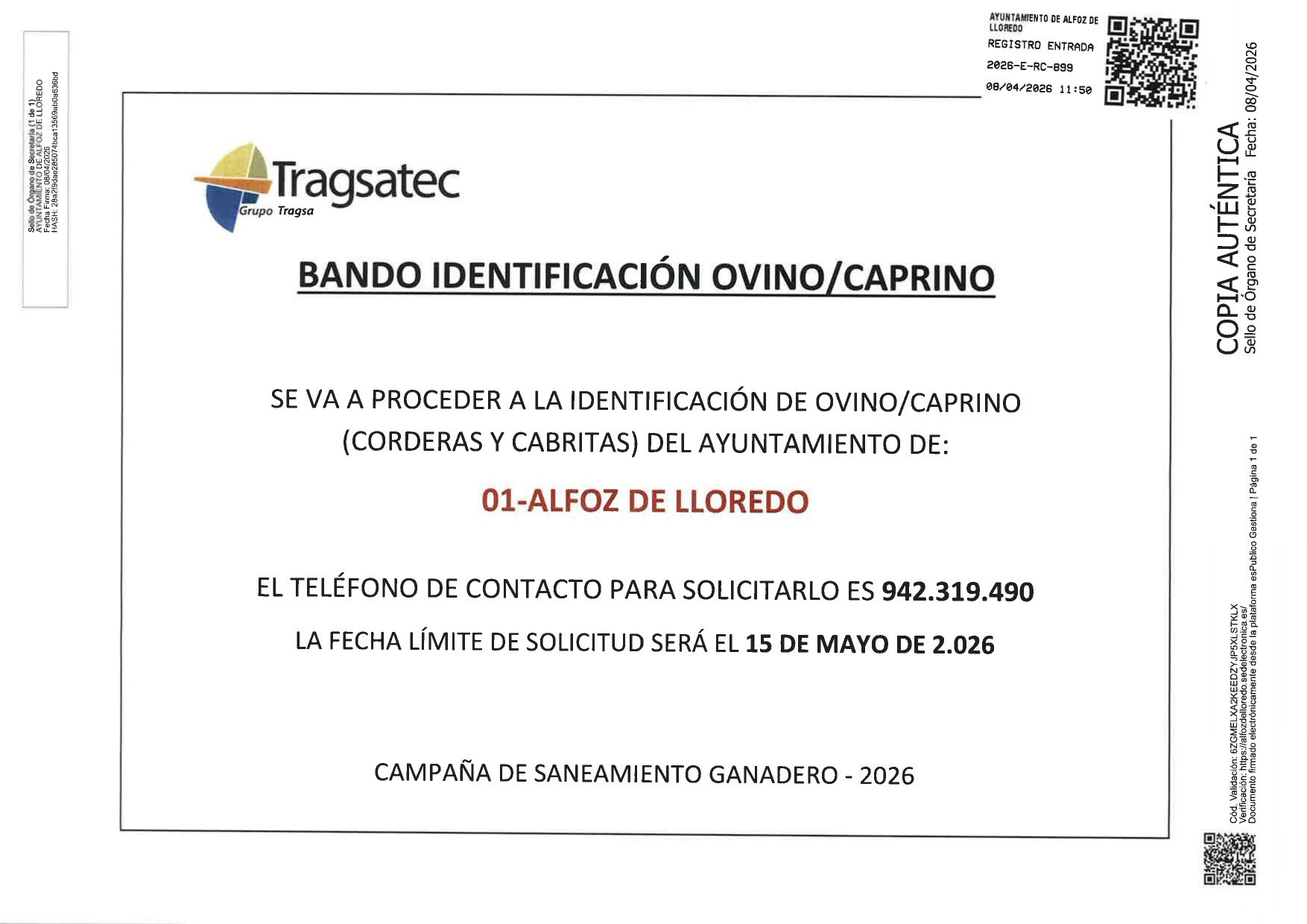 Bando indentificación ovino / caprino